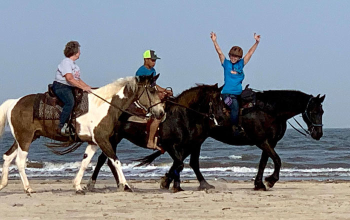 buckskin spotted saddle horse gelding