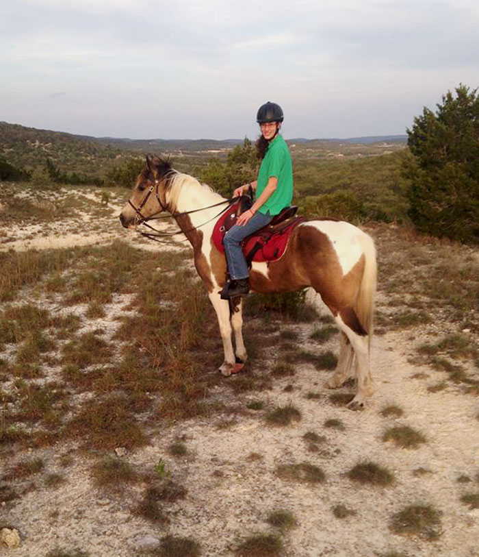 Buckskin tobiano Tennessee Walking Horse gelding